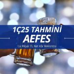 Anadolu Efes (AEFES) 1Ç25 tahmini: 1,6 milyar TL net kâr