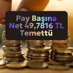 Borusan Yatırım (BRYAT) temettü onayı: Net 49,7816 TL ödeyecek