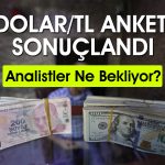Dolar/TL 2025 ve 2026’da ne kadar olacak? Anket paylaşıldı