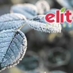 Elite Naturel’den zirai don açıklaması: Tedarik zinciri güvende