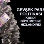 Euro Bölgesi’nde kredi büyümesi güvercin ECB ile hızlandı