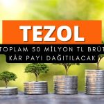 TEZOL temettü teklifini hazırladı: 50 milyon TL dağıtılacak
