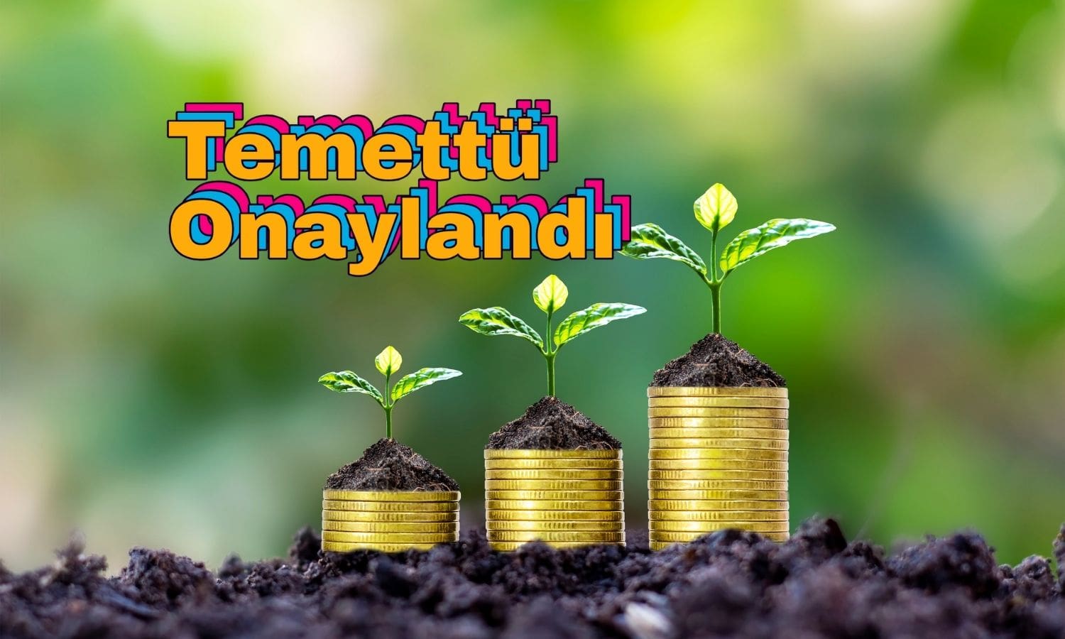 Genel kurul onayı: Logo Yazılım ne kadar temettü verecek?