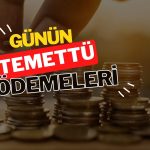 Günün temettü ödemeleri: ALARK ve SELEC için yeni fiyatlar