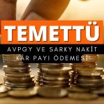 Günün temettü ödemeleri: AVPGY ve SARKY için yeni fiyat