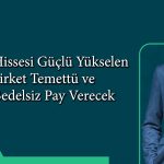 Hissesi yüzde 173 yükselen şirketten bedelsiz ve temettü duyurusu