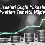 Hissesi yüzde 200 yükselen şirketin temettü kararı olumlu