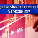 Hissesi yüzde 80 yükselen şirketten temettü duyurusu