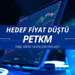 HSBC Petkim (PETKM) hedef fiyatını düşürdü, analizi paylaştı