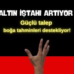 Küresel altın talebi artıyor: İlk 3 ayda 1206 ton alım yapıldı