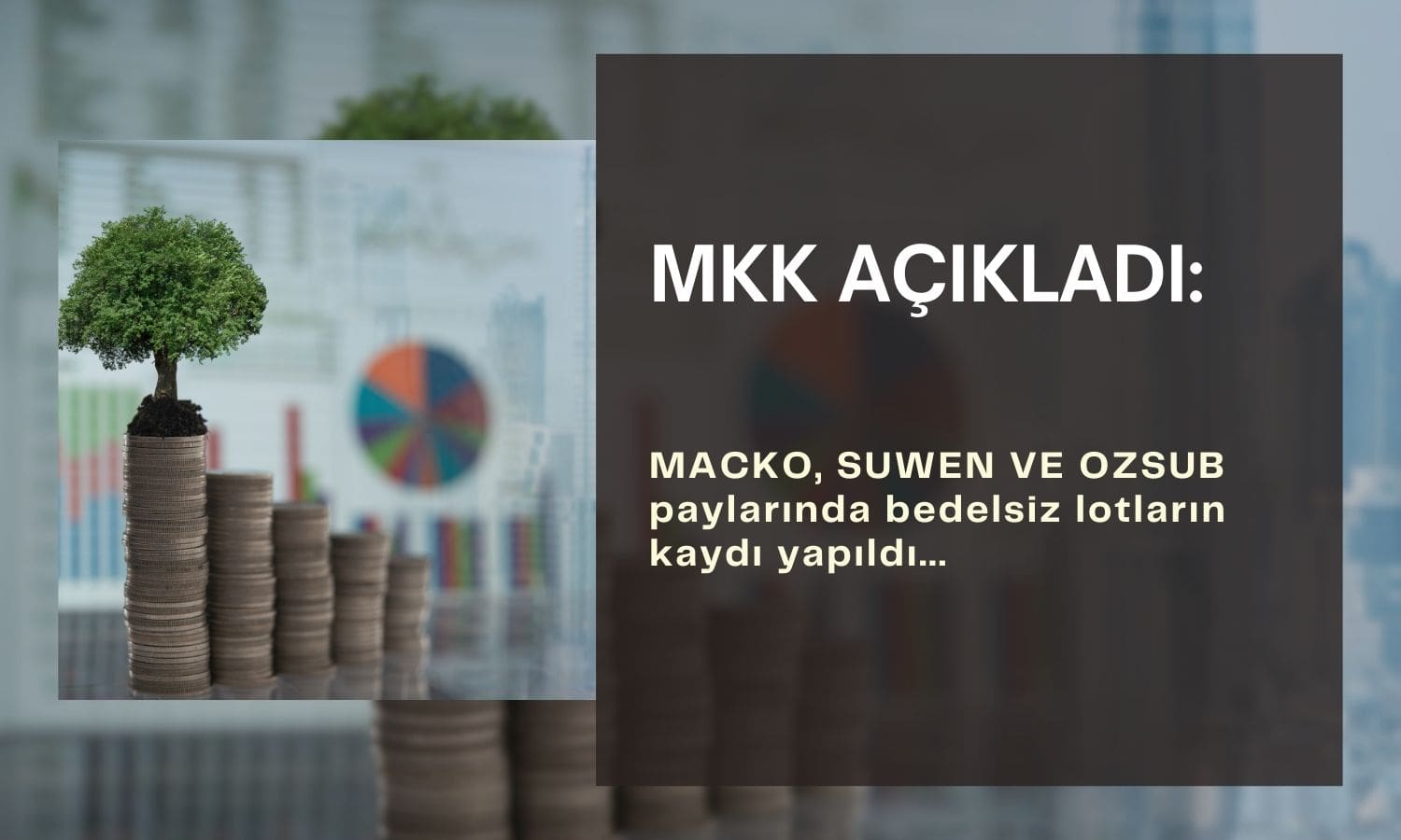 MACKO, SUWEN, OZSUB: Bedava lotların kaydı yapıldı