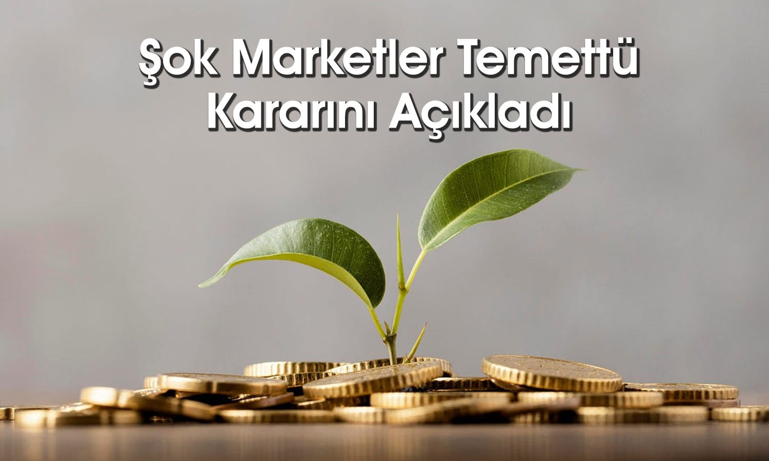 Net karı yüzde 99 düşen Şok Marketler temettü verecek mi?