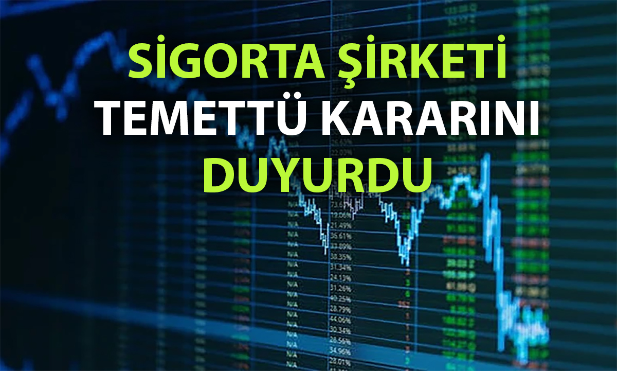 Ray Sigorta’dan kar dağıtım kararı: Nakit ve bedelsiz var mı?