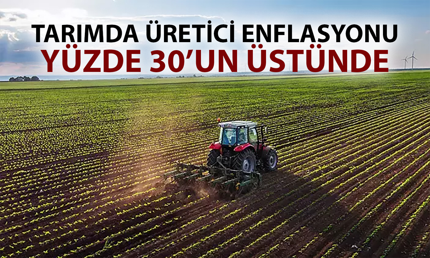 Tarımsal ürünlerde fiyat alarmı: 4 ayın en yüksek artışı