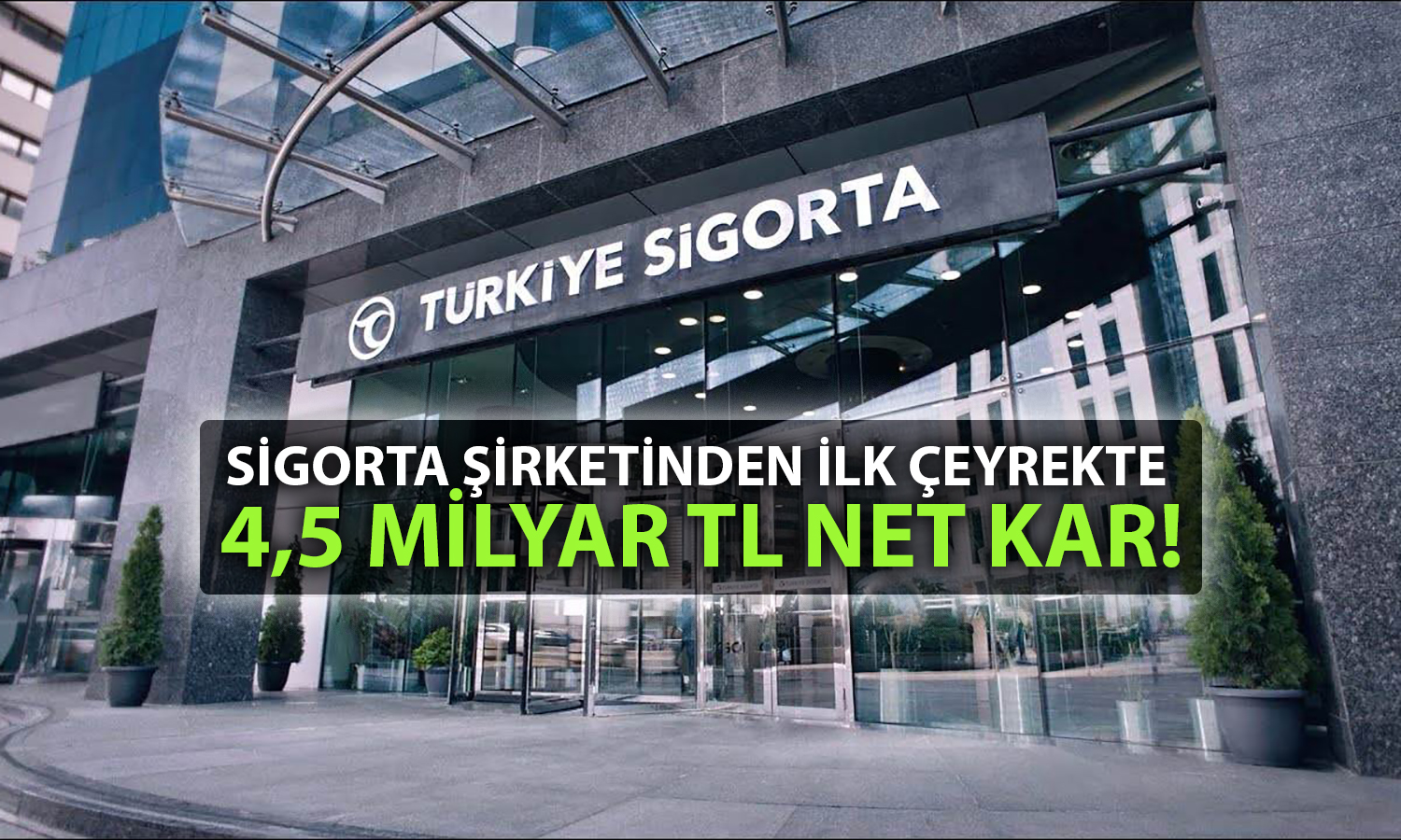 Türkiye Sigorta’dan ilk çeyrekte güçlü performans: Net kar arttı
