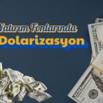 Yatırım fonlarında dolarizasyon yeniden artıyor