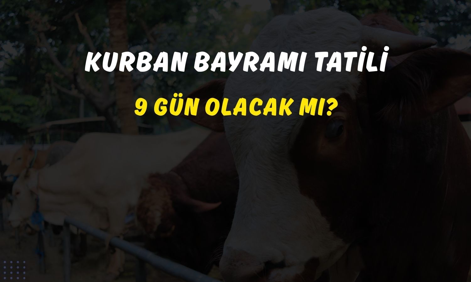 Bayram tatili 9 gün olacak mı? Bakan Ersoy yanıtladı!