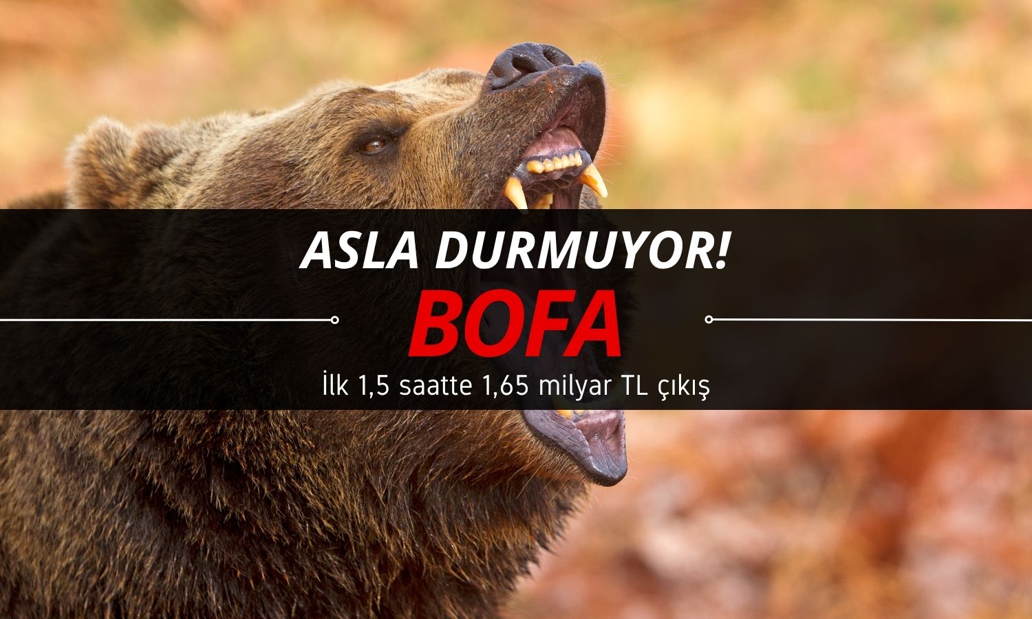 BOFA çıldırdı: 1,65 milyar dolarlık net satış