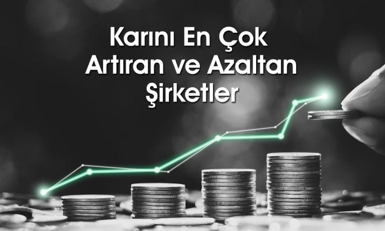 Borsada hisse başına karı en yüksek 20 şirket