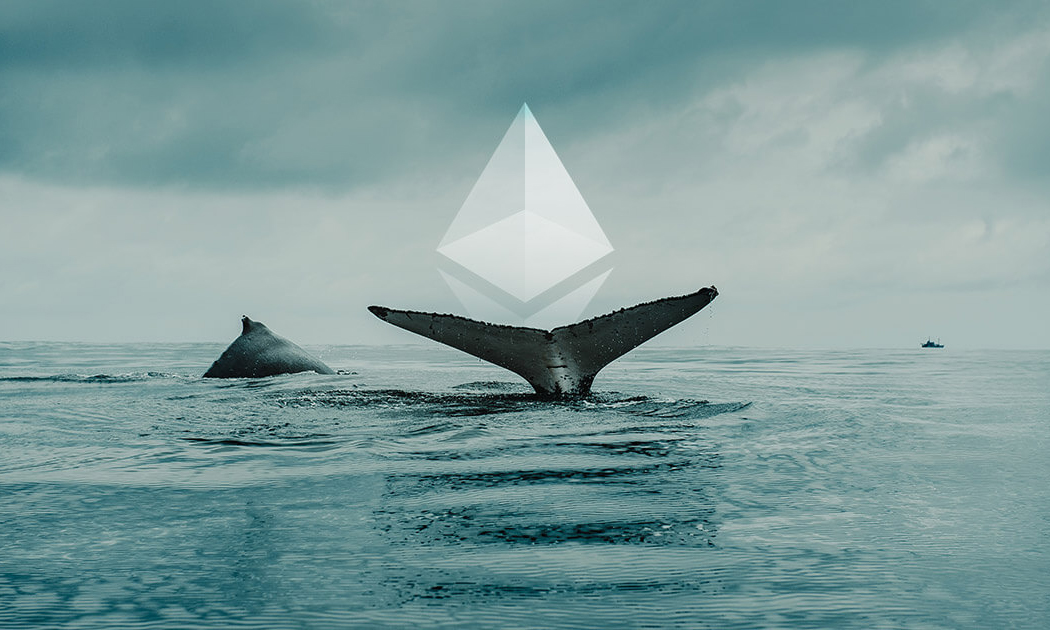 Ethereum’u erken satan balina pişman oldu: Daha pahalıya aldı