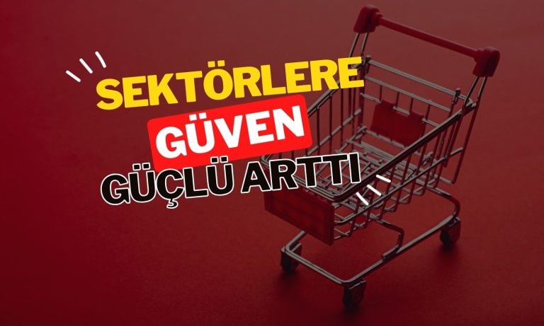 Hizmet, perakende ve inşaatta güven Mayıs’ta arttı