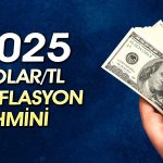 ING 2025 için dolar/TL tahminini paylaştı