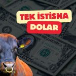 Morgan Stanley dolar dışında ABD varlıkları için boğaya döndü