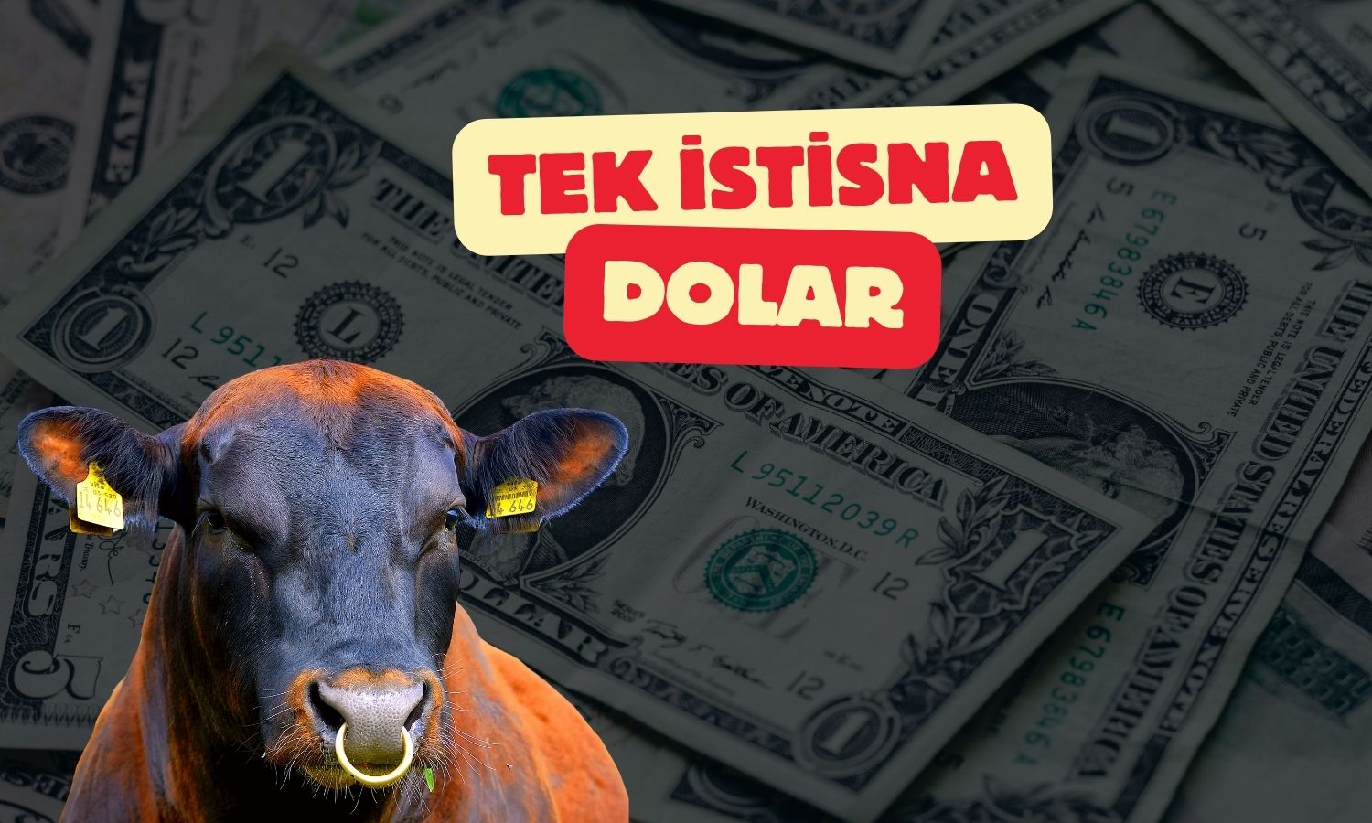 Morgan Stanley dolar dışında ABD varlıkları için boğaya döndü