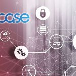 OBASE ilk çeyrekte zararı azalttı ama hasılatta geriledi