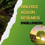 Qua Granite: 10 milyon dolarlık GES yatırımı tamamlandı