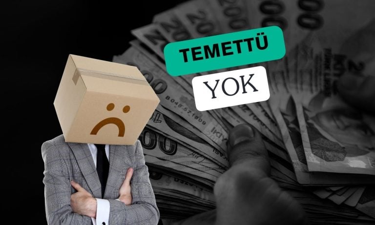 Temettü dağıtmayacak şirket kârını nasıl kullanacak?