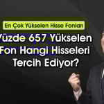 Uzun vadede en çok kazandıran 5 hisse senedi fonu