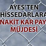 Yasal zarara rağmen AYES’ten nakit kâr payı dağıtımı