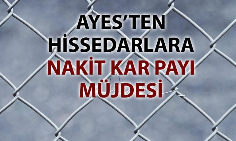 Yasal zarara rağmen AYES’ten nakit kâr payı dağıtımı