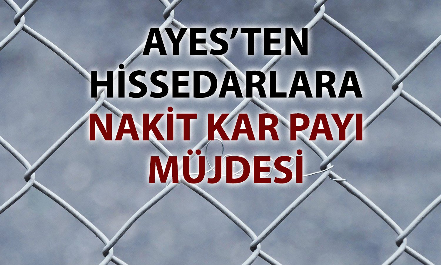 Yasal zarara rağmen AYES’ten nakit kâr payı dağıtımı