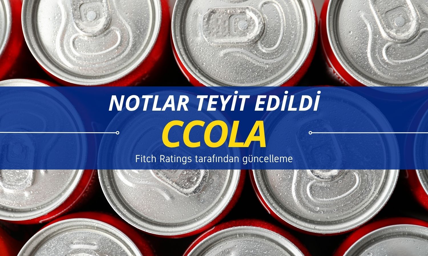 Fitch Ratings Coca Cola İçecek (CCOLA) notunu teyit etti