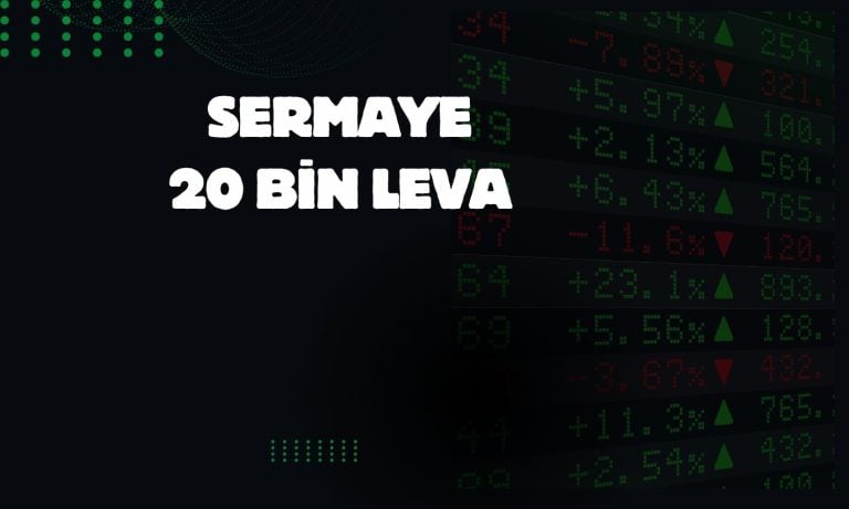 Hareket Proje Bulgaristan’da şirket kuruyor!