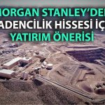 Morgan Stanley’den nadir element atağı: MP Materials öne çıkıyor