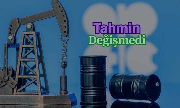 OPEC raporu: İkinci yarı küresel petrol talebi beklentileri