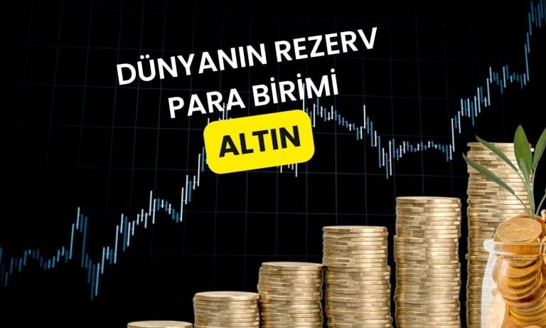 Siyah Kuğu yazarına göre altın çağı çoktan başladı!