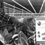 Tarım enflasyonu Mayıs’ta hem aylık hem yıllık bazda arttı!