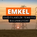 Yüzde 160 kazandıran şirketten ‘temettü yok’ kararı çıktı