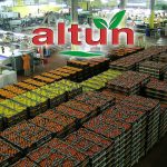 Altun Gıda halka arz gelirini nasıl kullanacağını açıkladı