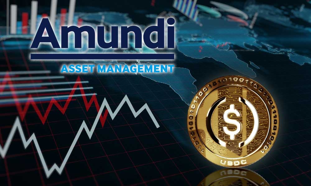 Amundi: Dolar bazlı kripto paralar küresel sistemi sarsabilir