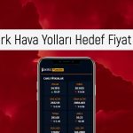 Aracı kurum THYAO için hedef fiyatını düşürdü