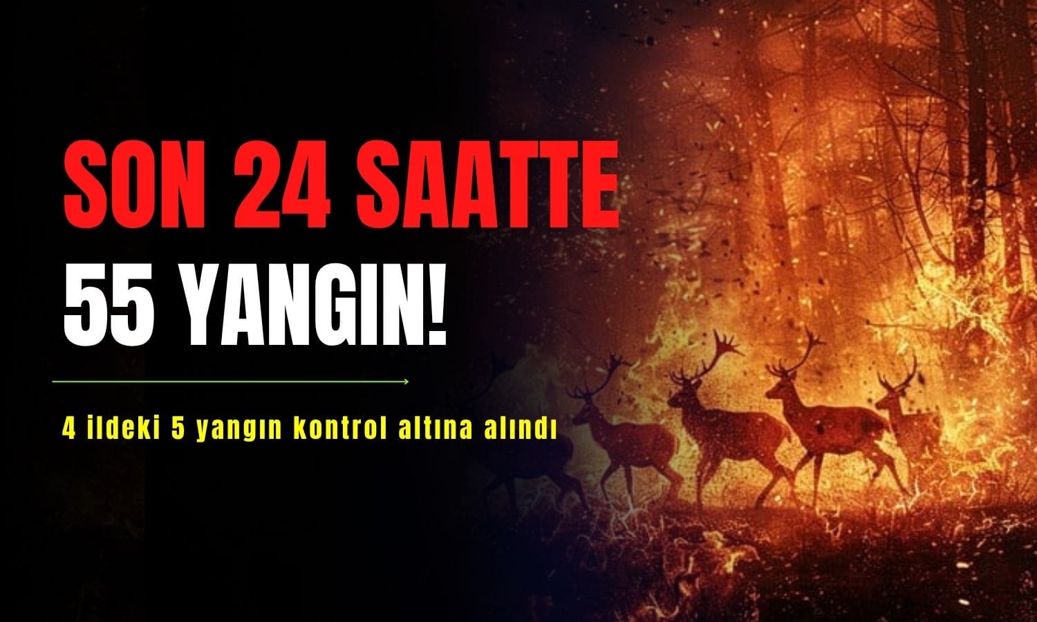 Bakan Yumaklı: Son 24 saatte 55 yangın kontrol altına alındı