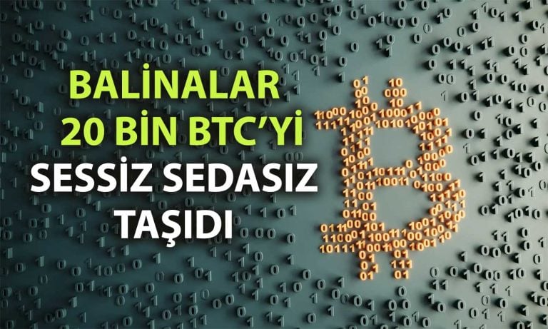 Balinalar 14 yıl sonra uyandı: 2 milyar dolarlık BTC taşındı