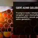 BMI: Trump bakır tarifesinde geri adım atabilir