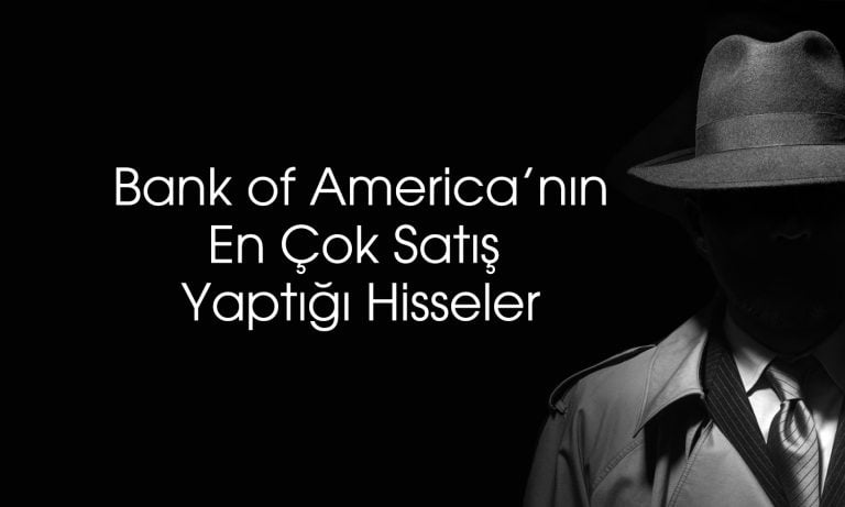 BofA’dan 1,1 milyar TL’lik satış: FROTO’yu ilk sıraya koydu