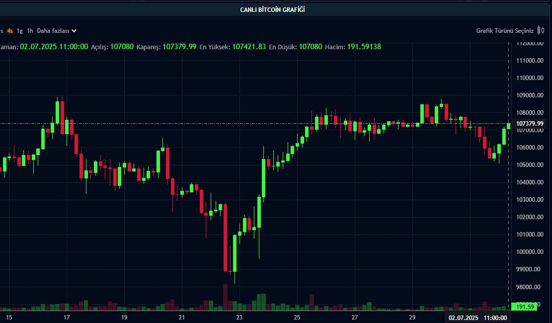BTC fiyat grafiği